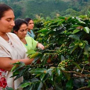 Comunnauté autochtone - Amazonas